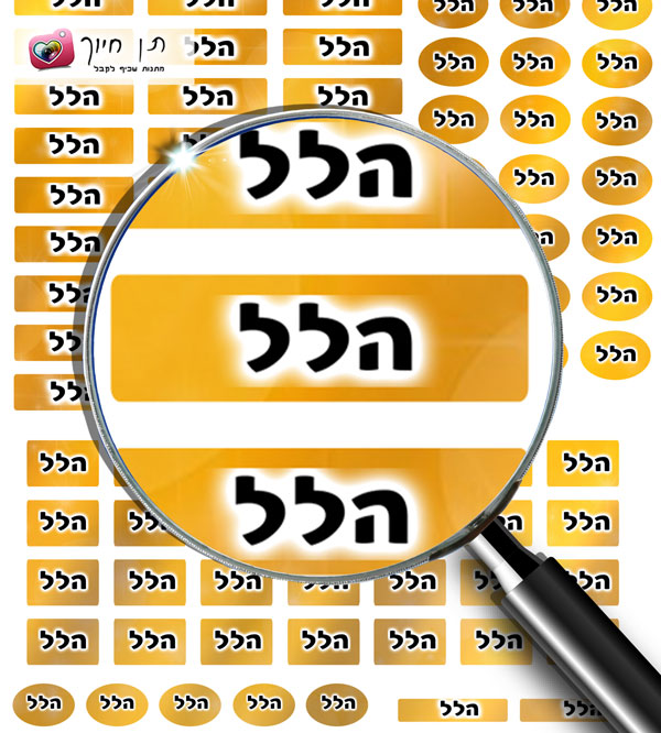 106 מדבקות שם דגם גולד