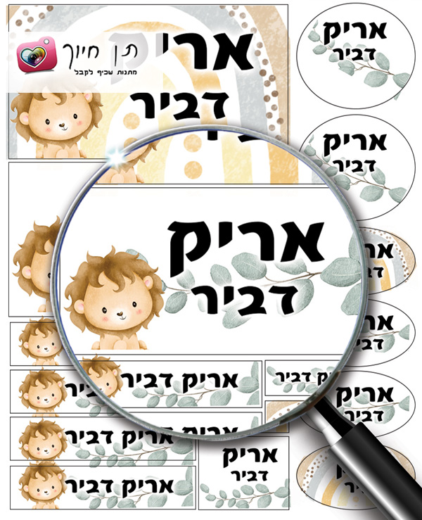 14 מדבקות שם דגם אריק