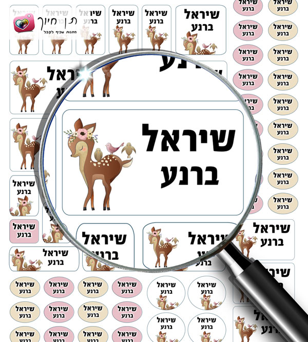 70 מדבקות שם דגם במבי