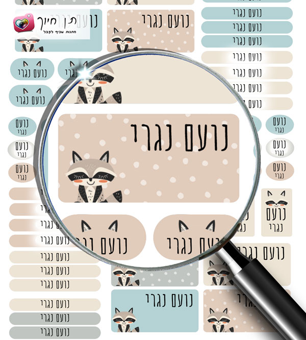 63 מדבקות שם דגם דביבון
