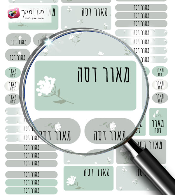 63 מדבקות שם דגם פריחה
