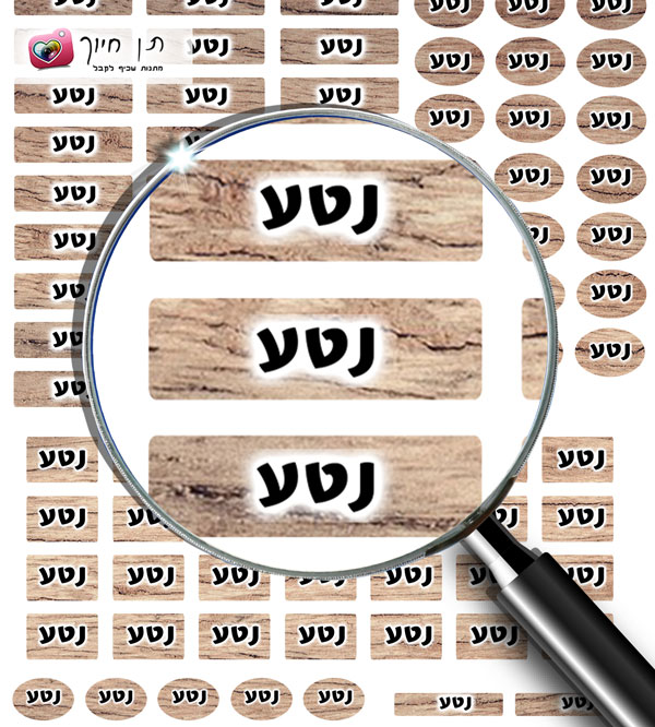106 מדבקות שם דגם  עץ טבעי