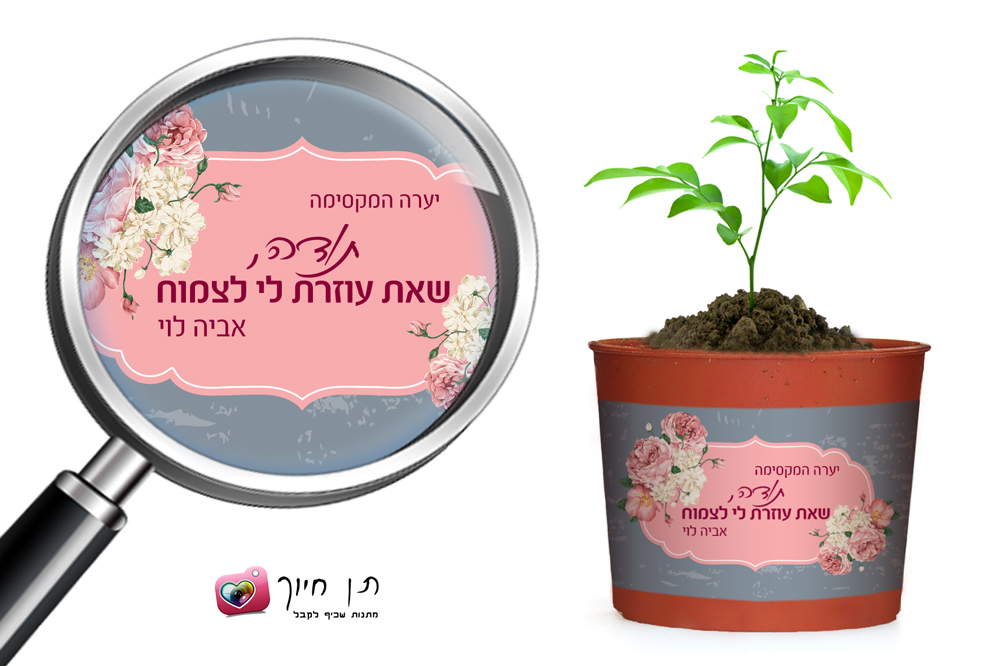 מדבקות לעציץ ומתנות דגם 10