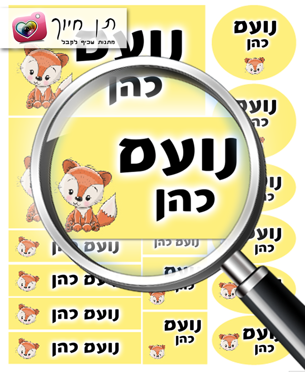 14 מדבקות שם דגם  שולי השועל