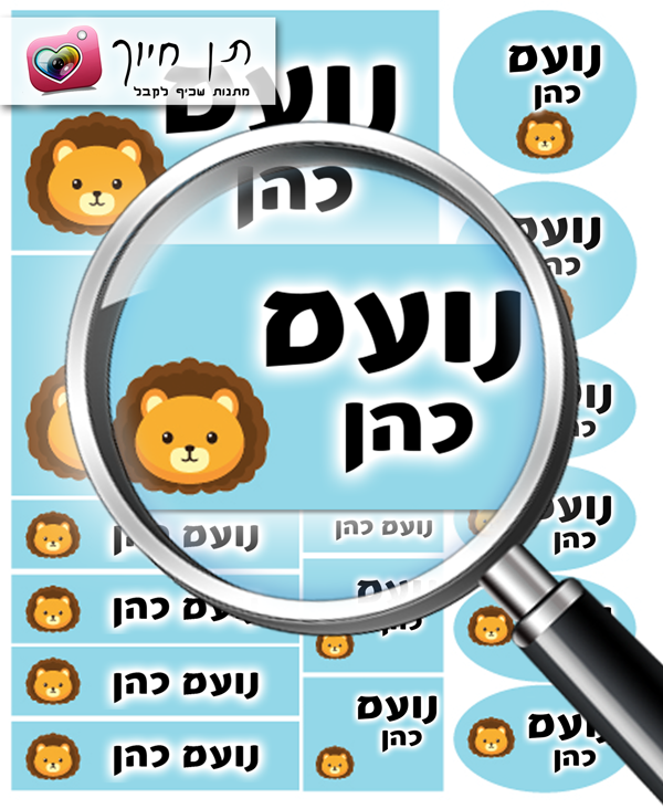 14 מדבקות שם דגם  אריה