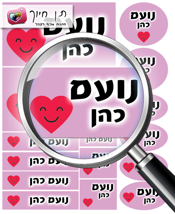 14 מדבקות שם דגם  לב