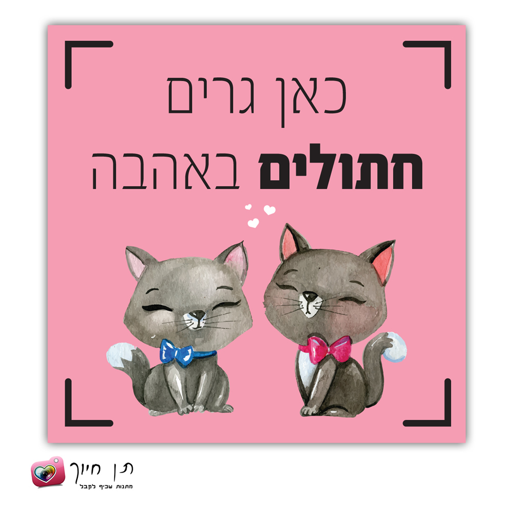 שלט חתול בחצר דגם 10