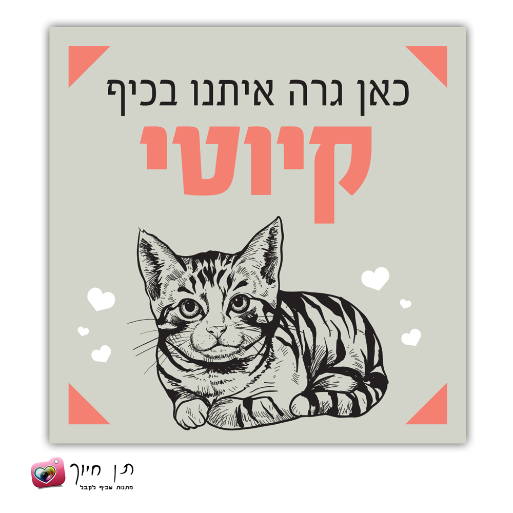 שלט חתול בחצר דגם 11